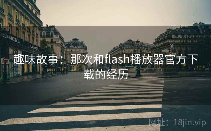 趣味故事：那次和flash播放器官方下载的经历  第1张