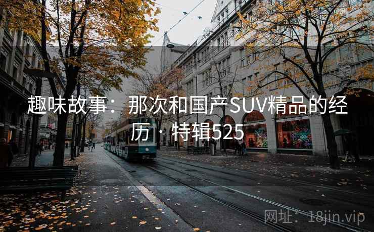 趣味故事：那次和国产SUV精品的经历 · 特辑525  第2张